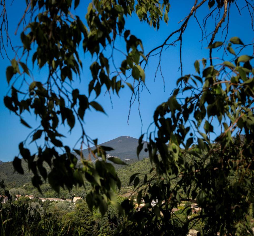 Le 37 Malaucene Bed & Breakfast Bagian luar foto